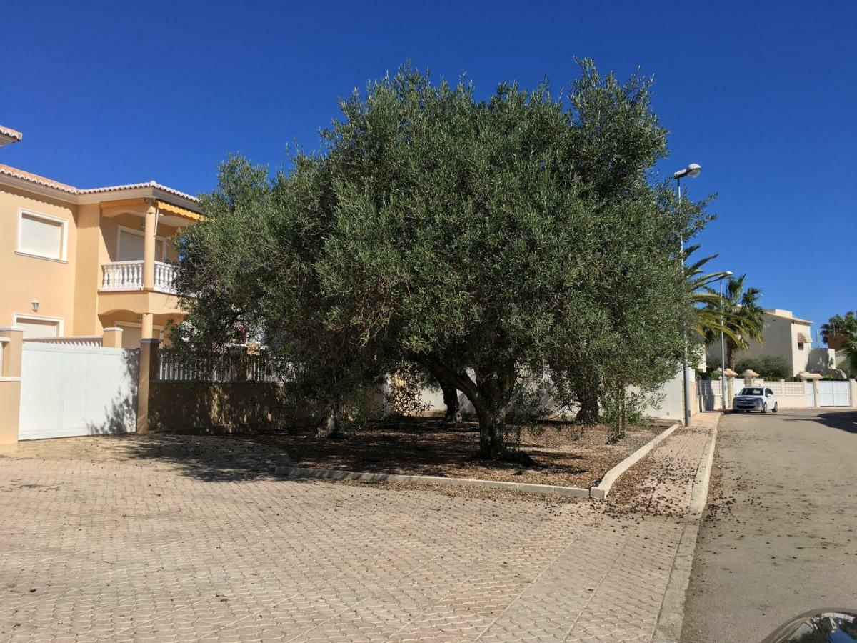 Frente Al Mar - Velazquez Βίλα Oliva Εξωτερικό φωτογραφία